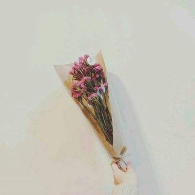 灵域戮仙手游yy下载